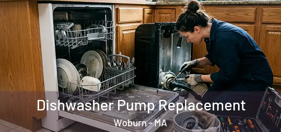Dishwasher Pump Replacement Woburn - MA