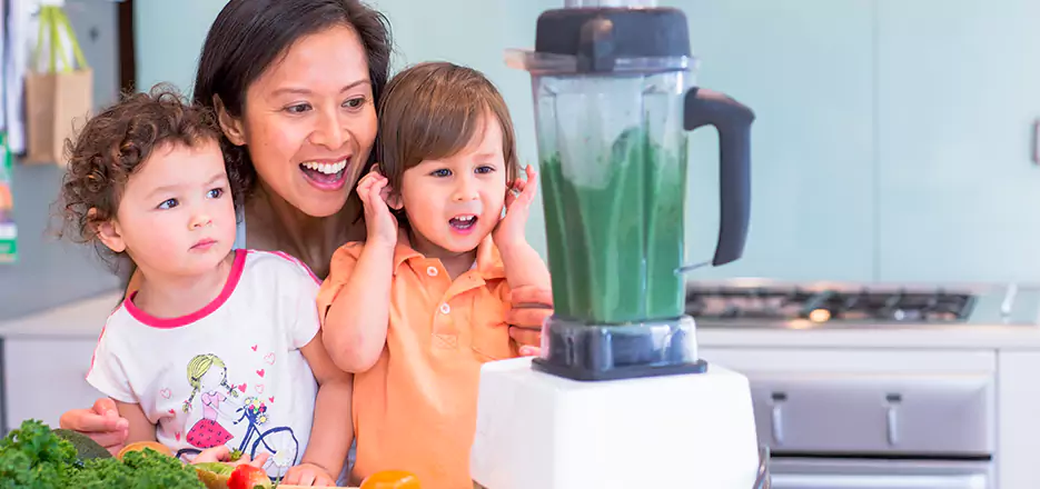 Juicer and Mixer Blender Repair in Woburn