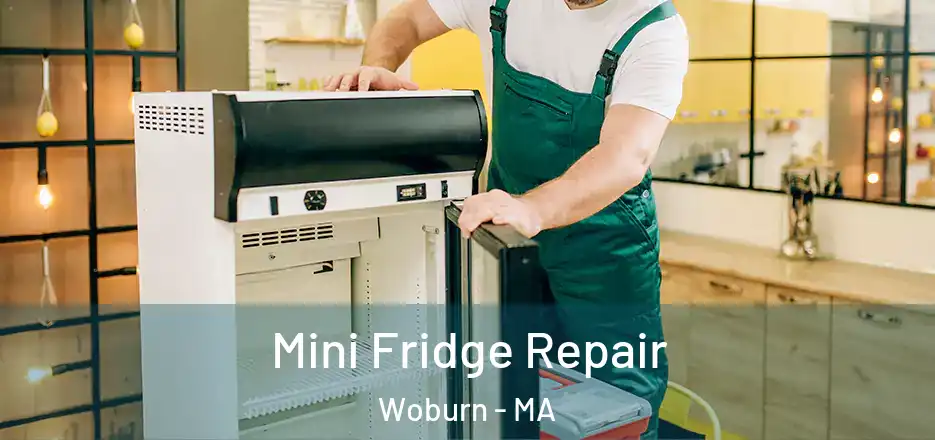 Mini Fridge Repair Woburn - MA